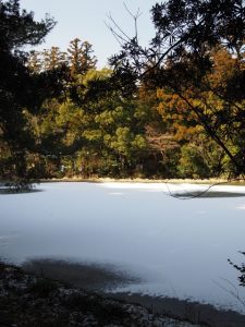水面が凍りついた外宮勾玉池