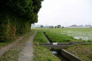 福井水路（神服織機殿神社）へ流れ込む水路
