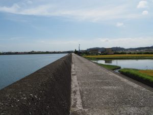 堤防道路を一色渡船場跡から汐合大橋方向へ