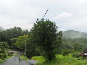 多岐原神社・三瀬の渡し跡への分岐