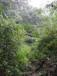 多岐原神社（皇大神宮 摂社）から三瀬の渡し跡へ