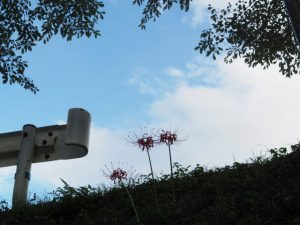 多岐原神社・三瀬の渡し跡への分岐