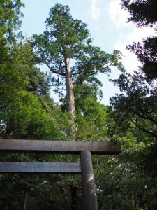 瀧原宮（皇大神宮 別宮）