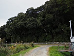 朝熊神社（皇大神宮 摂社）の社叢