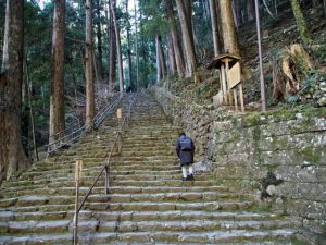 飛瀧神社の参道