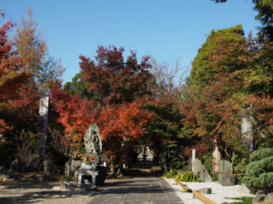 13 高富山 石薬師寺（東海道 (11)石薬師宿）