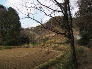 岩谷池から下流側の立梅用水（多気町丹生）