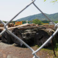 神宮司廳の貯木場で見かけた滝原スギの古木（伊勢市岡本）