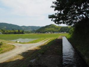 県道421号に沿って流れる津田［土地改良区の］用水（多気町牧）