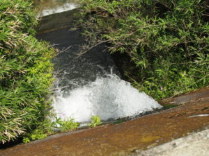 櫛田川へ勢い良く流れ出る水、南勢水道沈砂池付近（多気町鍬形）