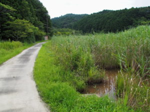 国道42号（JR参宮線 松下駅付近）から湿地帯へ