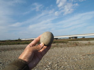 宮川大橋付近にて久しぶりの丸い石探し