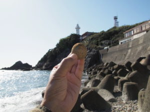 須場の浜での丸い石探し