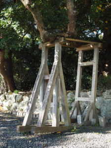 クスノキから伸びる横枝の支柱は変形中、御薗神社（伊勢市御薗町王中島）