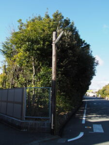 横浜ゴム三重工場付近で見つけた木製電柱